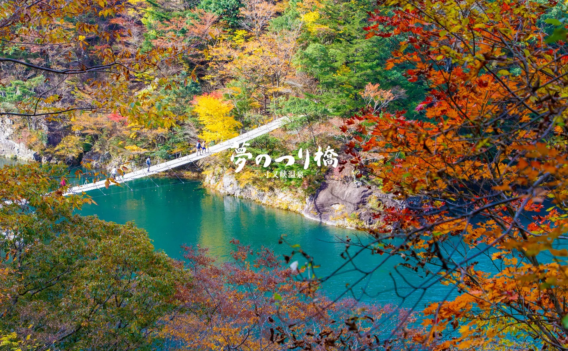 Yume no Tsuribashi - Cây cầu treo trong mơ 3 tiện ích