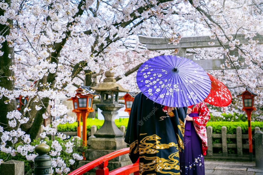 Những địa điểm ngắm hoa anh đào tuyệt đẹp tại Kyoto năm 2023