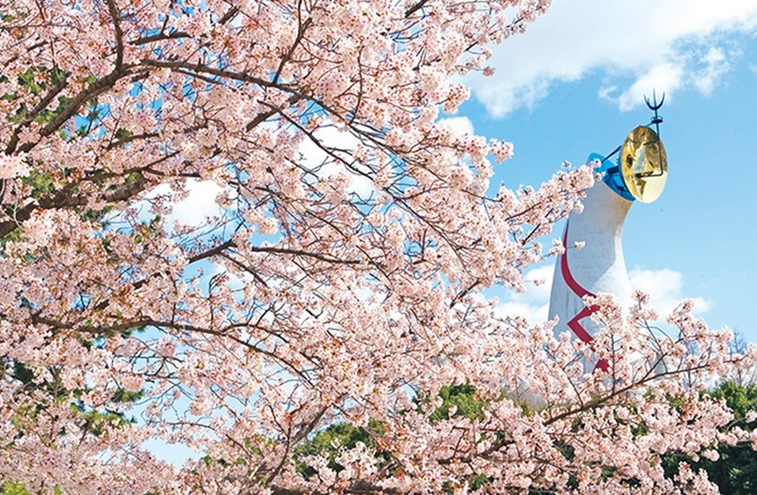 Những địa điểm ngắm hoa anh đào tuyệt đẹp tại Osaka năm 2023 3TIENICH