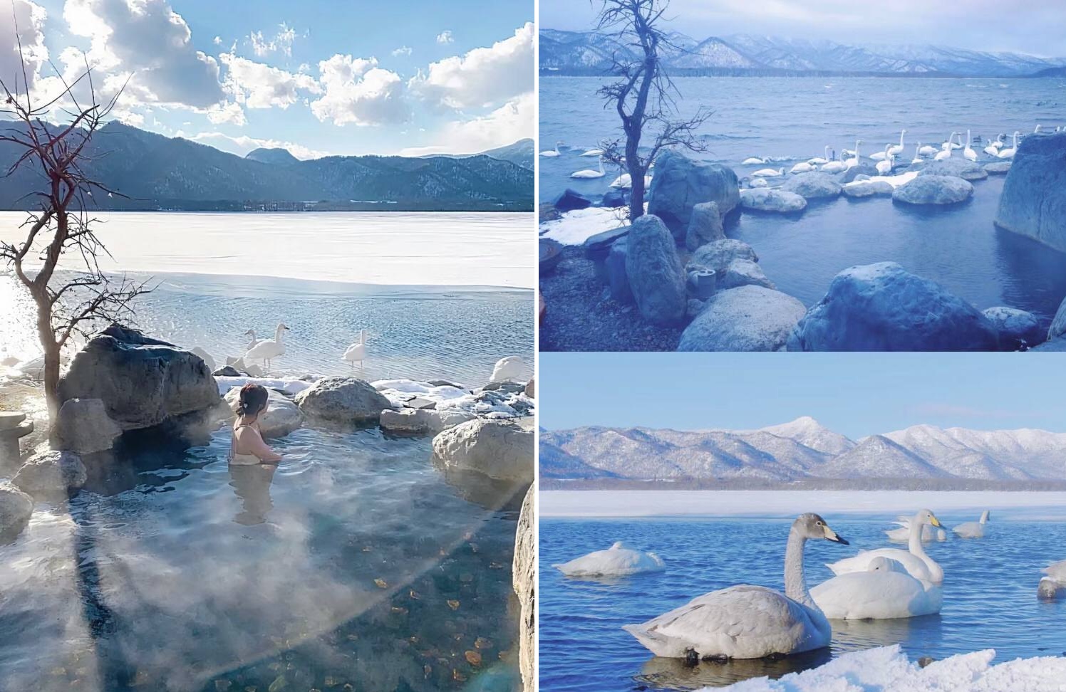 Tắm suối nước nóng onsen - ngắm thiên nga 3 TIỆN ÍCH